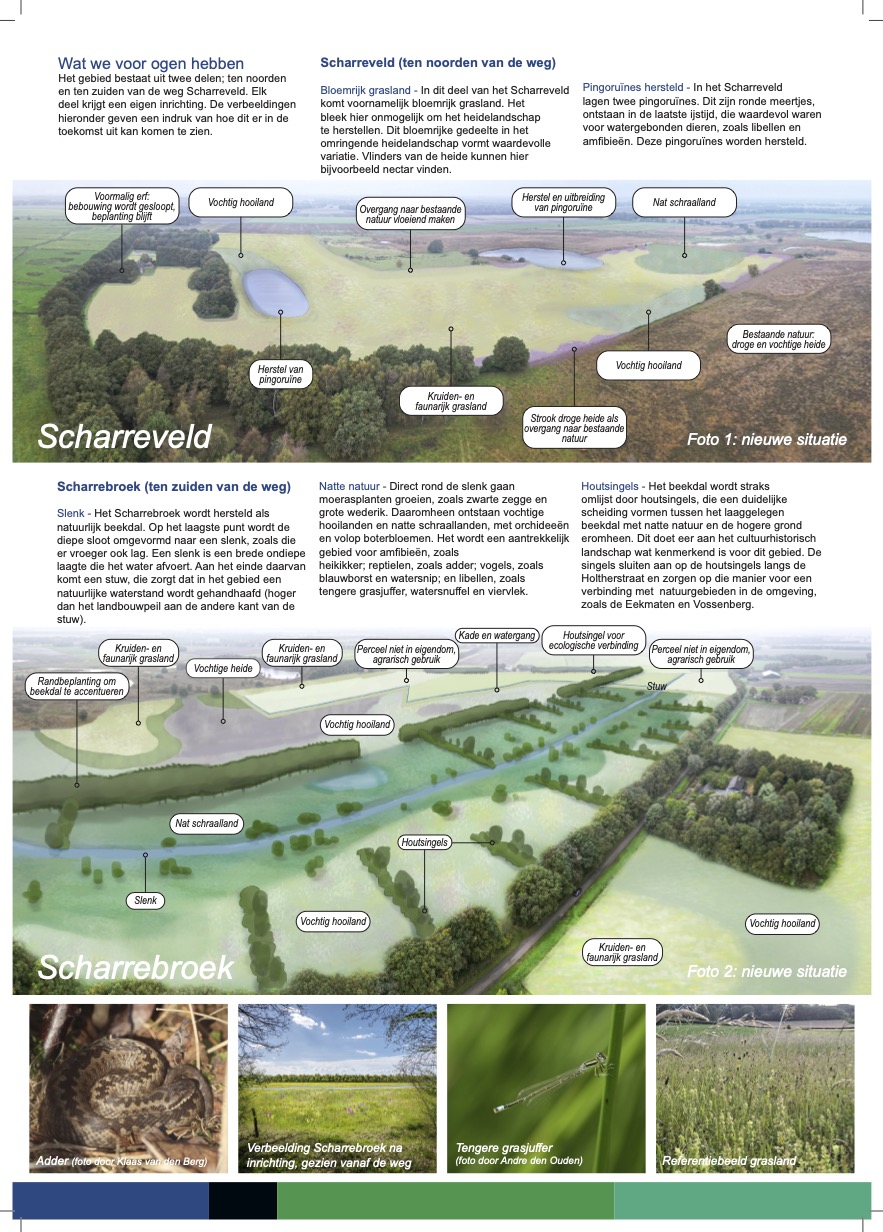 2Scharreveld Schetsontwerp - info flyer 2026_DEF kopie