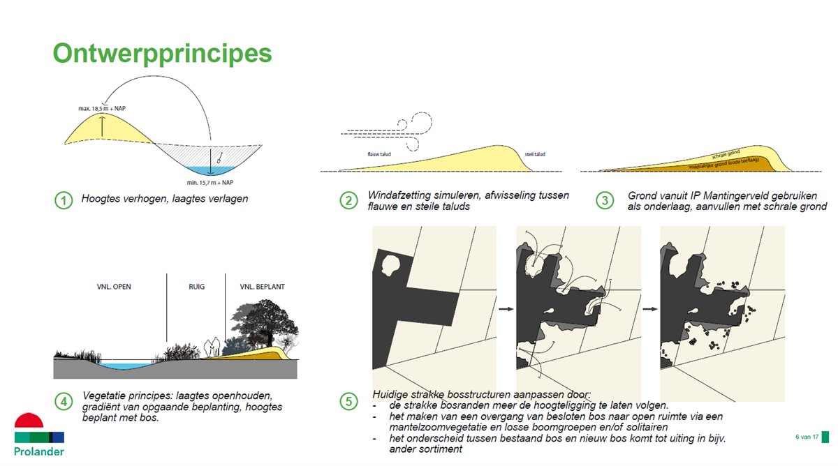 Ontwerpprincipes Mantingerzand: hoogteverschil, windsimulatie, grondgebruik, beplanting en bosstructuur