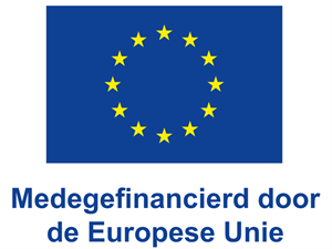 Logo: medegefinancierd door de Europese Unie