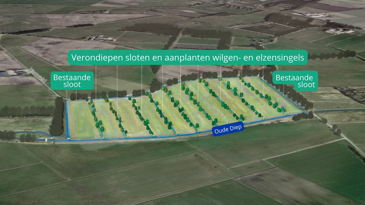 Satellietbeeld van Wijsterbroek langs Oude Diep met voorstel: sloten verondiepen en wilgen- en elzensingels aanplanten