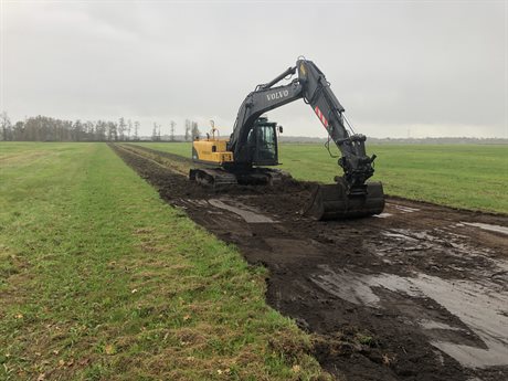 Rupskraan graaft een brede, ondiepe slenk in het weiland van Wijsterbroek.